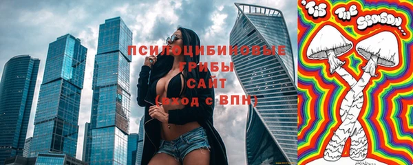 шишки Алзамай