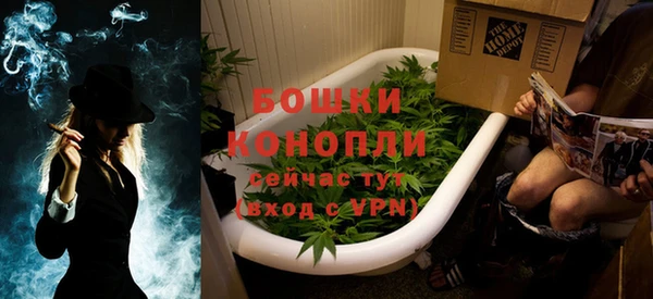 шишки Алзамай