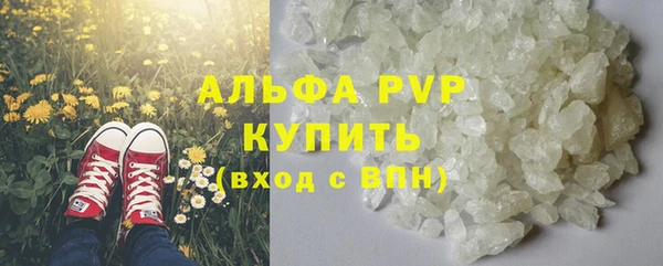 шишки Алзамай